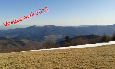 Vosges avril 2018